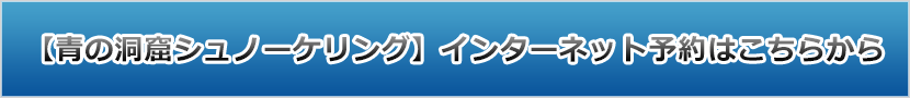 【青の洞窟シュノーケリング】インターネット予約はこちらから
