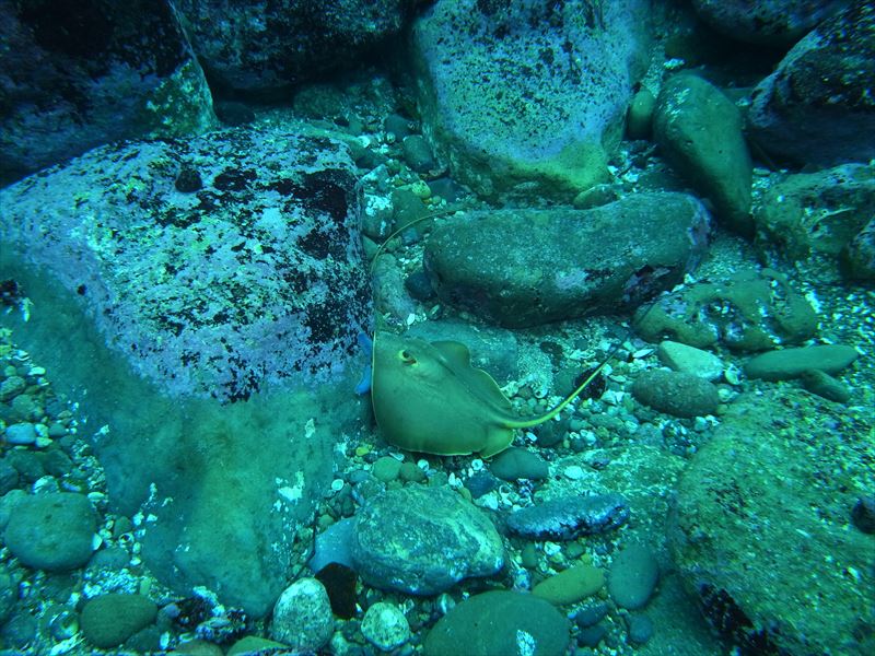 赤島(アカジマ)での撮影