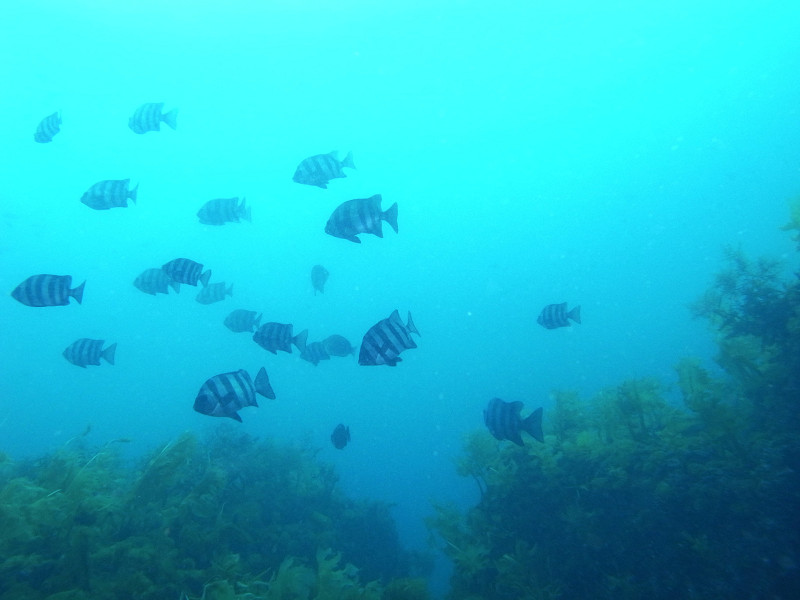 東鼻(ヒガシバナ)での撮影