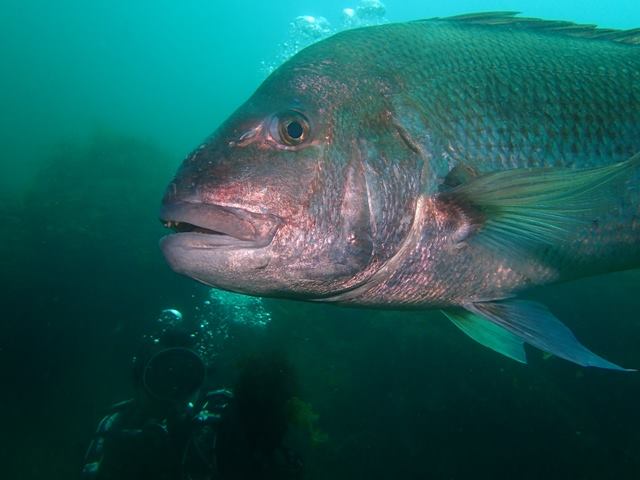 カシマ前ビーチでの撮影