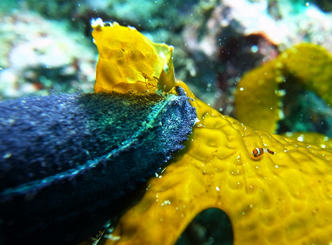 カシマ前ビーチでの撮影