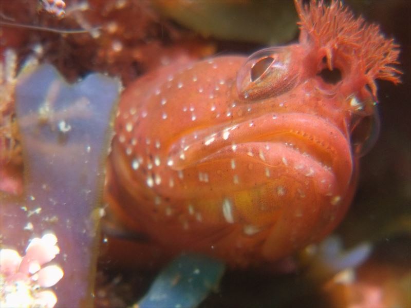 カシマ前ビーチでの撮影