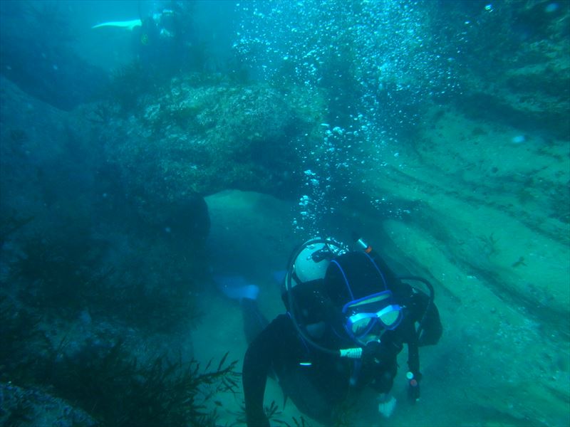 アーチでの撮影