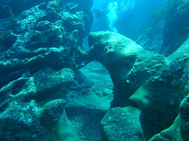 アーチでの撮影