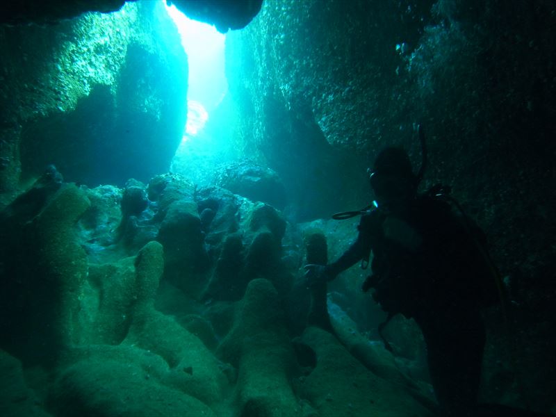 マーメイドウィンドゥでの撮影