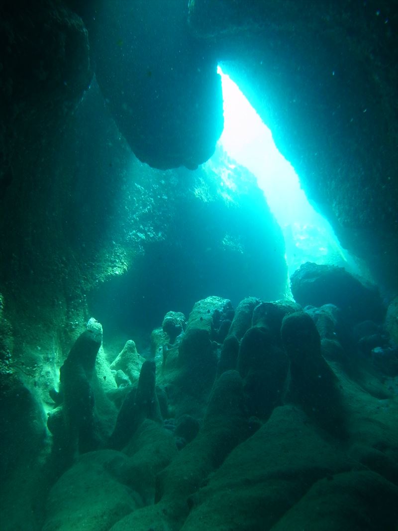 マーメイドウィンドゥでの撮影