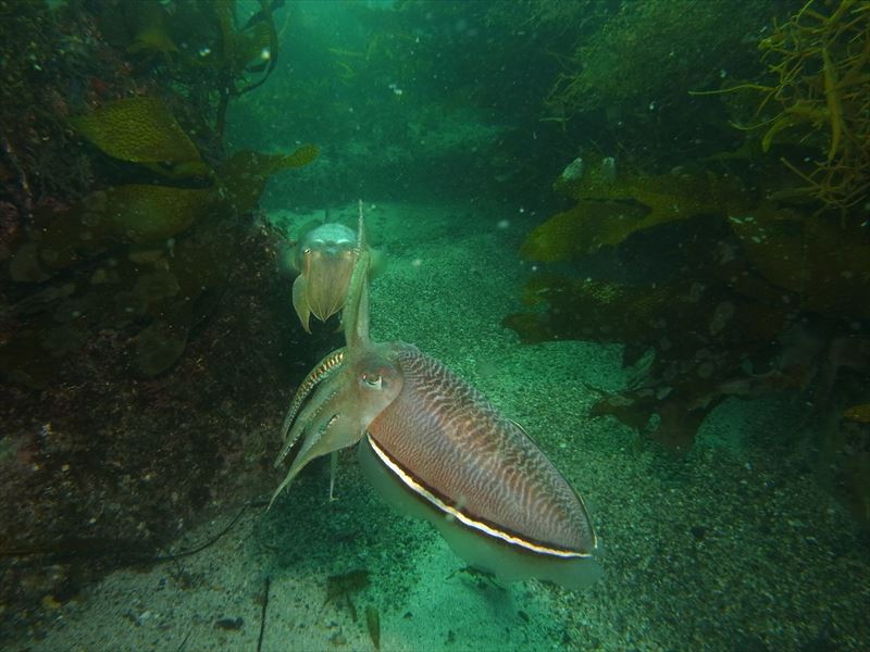 竹野浜での撮影