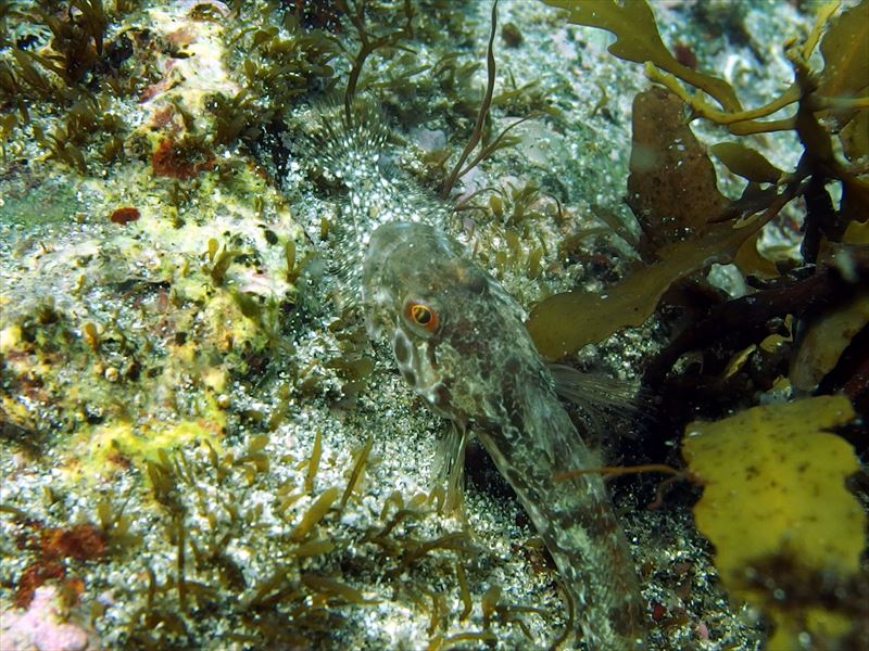 竹野浜での撮影