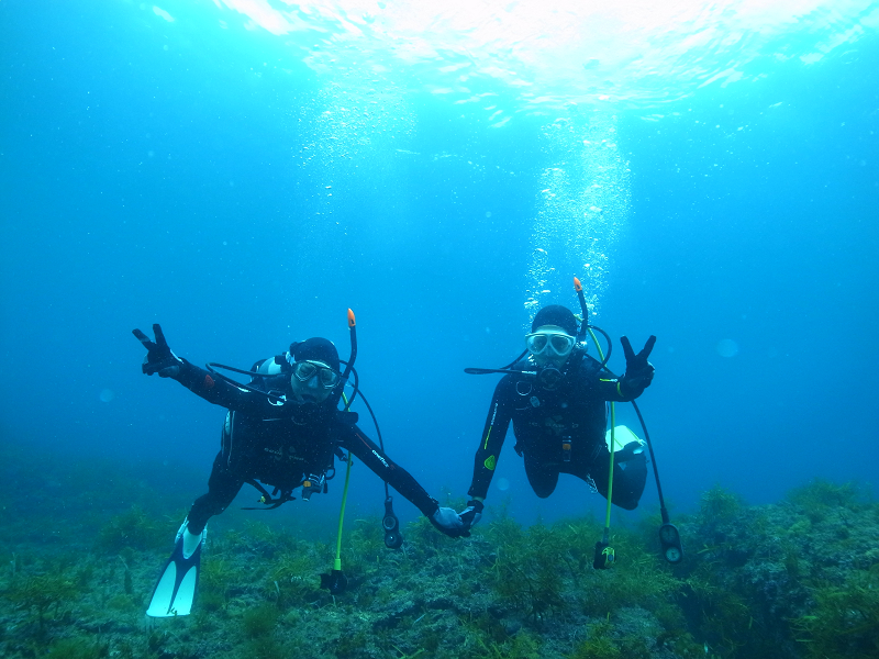 体験ダイビングイメージ