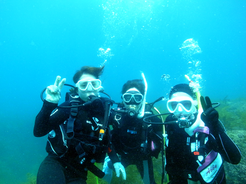 いよいよ魚たちの待つ海へ